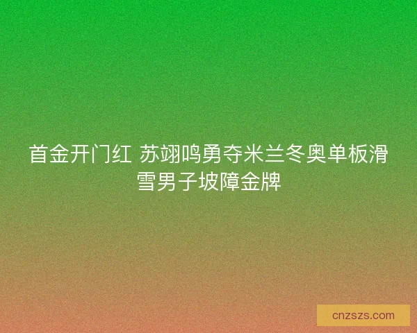 首金开门红 苏翊鸣勇夺米兰冬奥单板滑雪男子坡障金牌